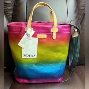 Consuela Anita *RARE DESIGN* Multi Color Leather Handbag